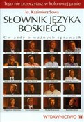 Słownik ję... - Kazimierz Sowa -  foreign books in polish 