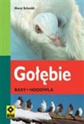 Zobacz : Gołębie Ra... - Horst Schmidt