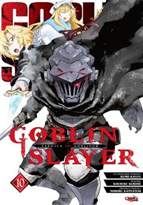 Picture of Goblin Slayer. Tom 10