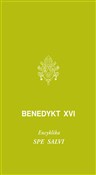 Zobacz : Spe salvi.... - Benedyky XVI