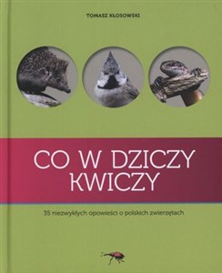 Picture of Co w dziczy kwiczy 35 niezwykłych opowieści o polskich zwierzętach