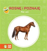 Na wsi. Ro... - Opracowanie zbiorowe -  books from Poland