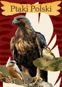 Picture of Ptaki Polski