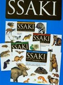 Ssaki - Michał Brodacki -  foreign books in polish 