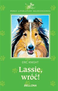 Picture of Lassie wróć