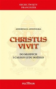 Picture of Christus Vivit