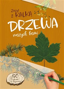 Picture of Drzewa naszych lasów Zeszyt z kalką