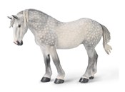 polish book : Klacz Perc...