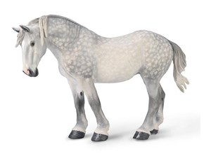 Obrazek Klacz Percheron Siwa jabłkowita