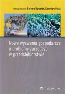Picture of Nowe wyzwania gospodarcze a problemy zarządcze w przedsiębiorstwie