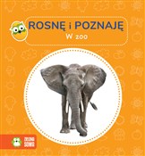 W zoo. Ros... - Opracowanie zbiorowe -  books in polish 