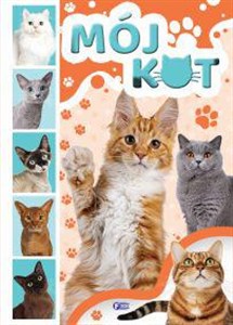 Obrazek Mój kot