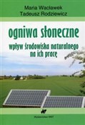 Polska książka : Ogniwa sło... - Maria Wacławek, Tadeusz Rodziewicz