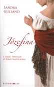 Polska książka : Józefina T... - Sandra Gulland