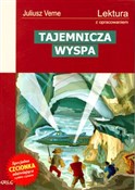 polish book : Tajemnicza... - Juliusz Verne