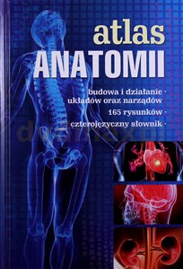 Picture of Atlas anatomii