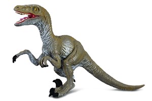 Picture of Dinozaur Velociraptor