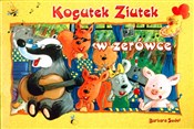 Kogutek Zi... - Barbara Sudoł -  books from Poland