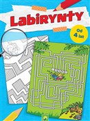 Książka : Labirynty - Opracowanie Zbiorowe