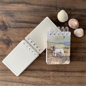 Zobacz : Kołonotes ...