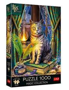 Obrazek Puzzle 1000 Premium Plus Quality Magic Collection: Księga Cieni