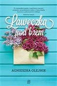 Ławeczka p... - Agnieszka Olejnik -  books from Poland