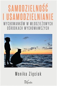 Picture of Samodzielność i usamodzielnianie wychowanków w młodzieżowych ośrodkach wychowawczych