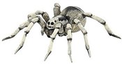 Zobacz : Tarantula