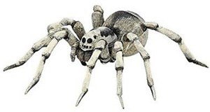 Picture of Tarantula