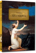 Antygona - Sofokles -  foreign books in polish 