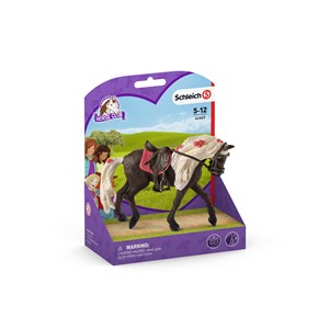 Obrazek Pokaz koni - klacz Rocky Mountain Horse