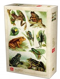 Picture of Puzzle 1000 Encyklopedia - Żaby