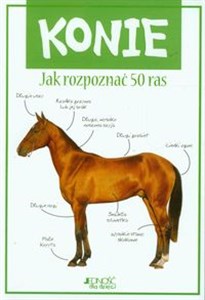 Obrazek Konie Jak rozpoznać 50 ras