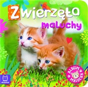 Album malu... - Opracowanie Zbiorowe -  foreign books in polish 