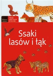 Picture of Ssaki lasów i łąk