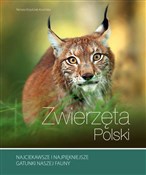 polish book : Zwierzęta ... - Renata Kosińska