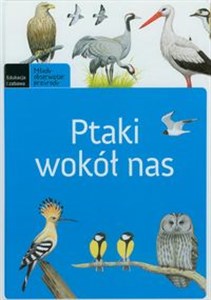 Obrazek Ptaki wokół nas