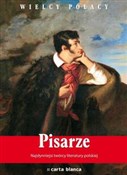 polish book : Pisarze Na... - Tomasz Ławecki