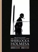 polish book : Przygody S... - Berardi Giancarlo