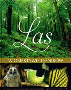 Picture of Las w obiektywie leśników