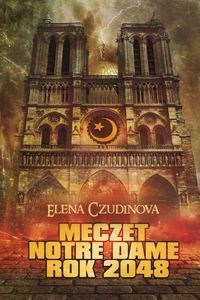Picture of Meczet Notre Dame 2048