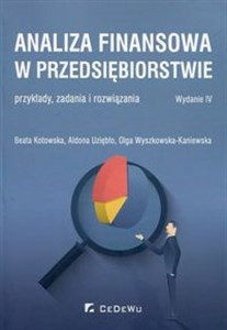 Picture of Analiza finansowa w przedsiębiorstwie przykłady, zadania o rozwiązania