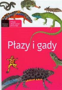 Picture of Płazy i gady