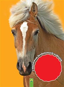 Obrazek Malowanka. Stadnina kucyków