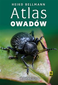 Obrazek Atlas owadów