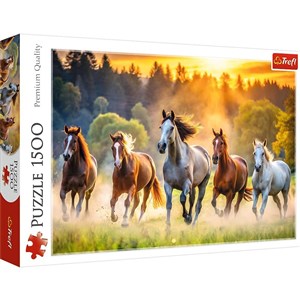 Picture of PUZZLE 1500 - Dzikie konie 26215