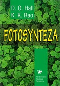 Obrazek Fotosynteza