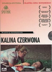 Picture of Kalina czerwona