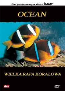 Picture of Ocean: Wielka rafa koralowa