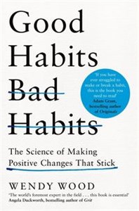 Picture of Good Habits, Bad Habits